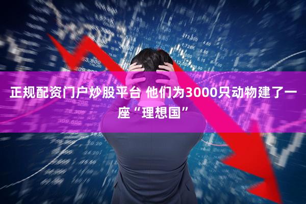 正规配资门户炒股平台 他们为3000只动物建了一座“理想国”